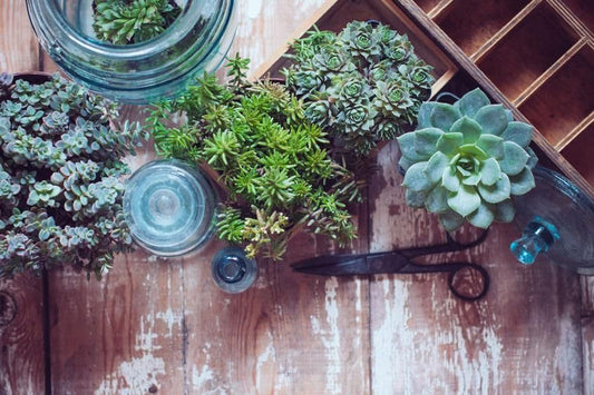 Small changes for a big impact in your home